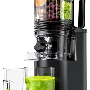 Floisdace Masticating Juicer 350W Reverse Grey-0