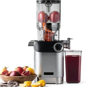 Anybear Cold Press Juicer Silver Plastic Design-0
